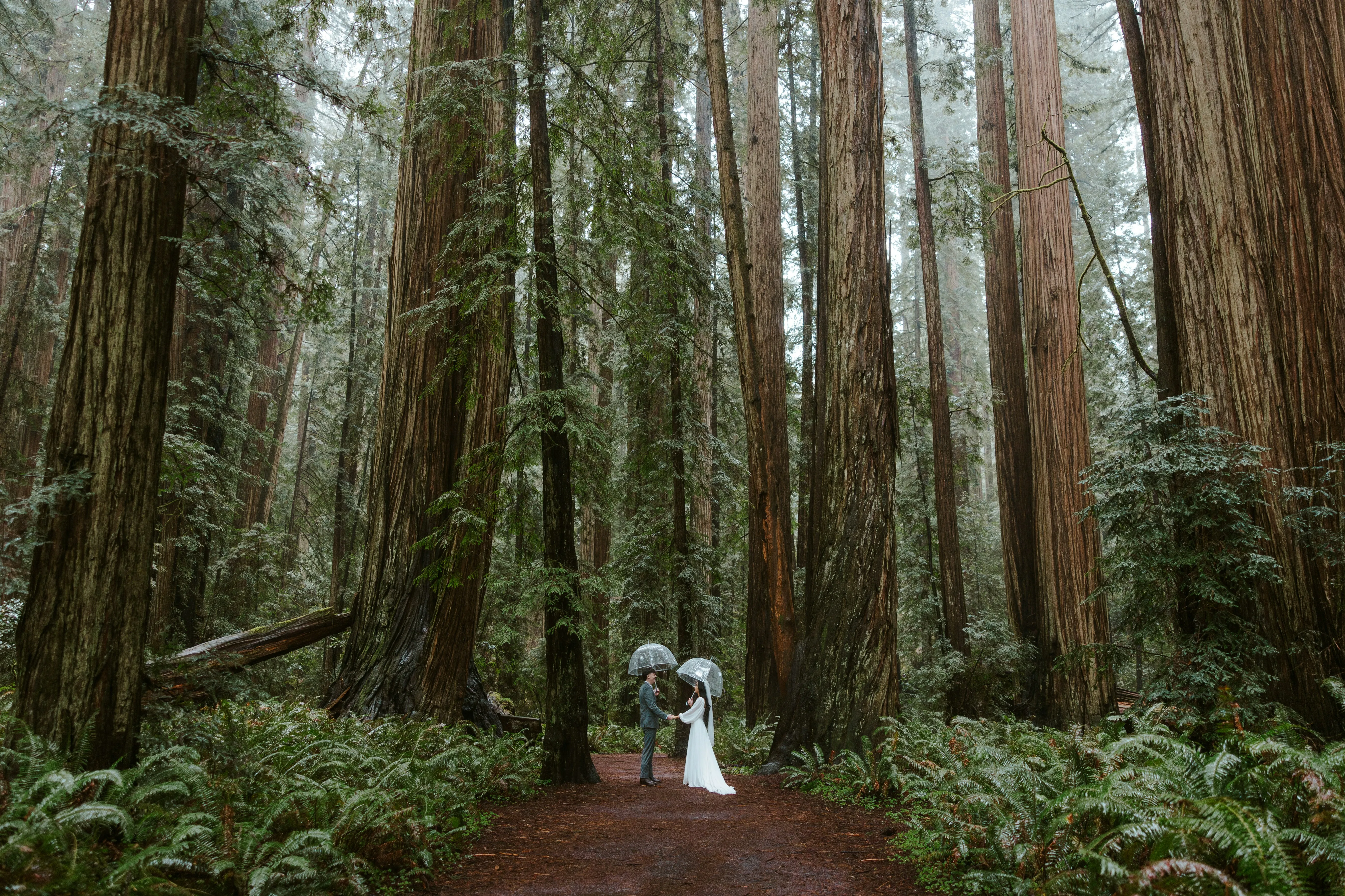 邀请赛与补遗：郑州、昆明、HDU 与洛谷